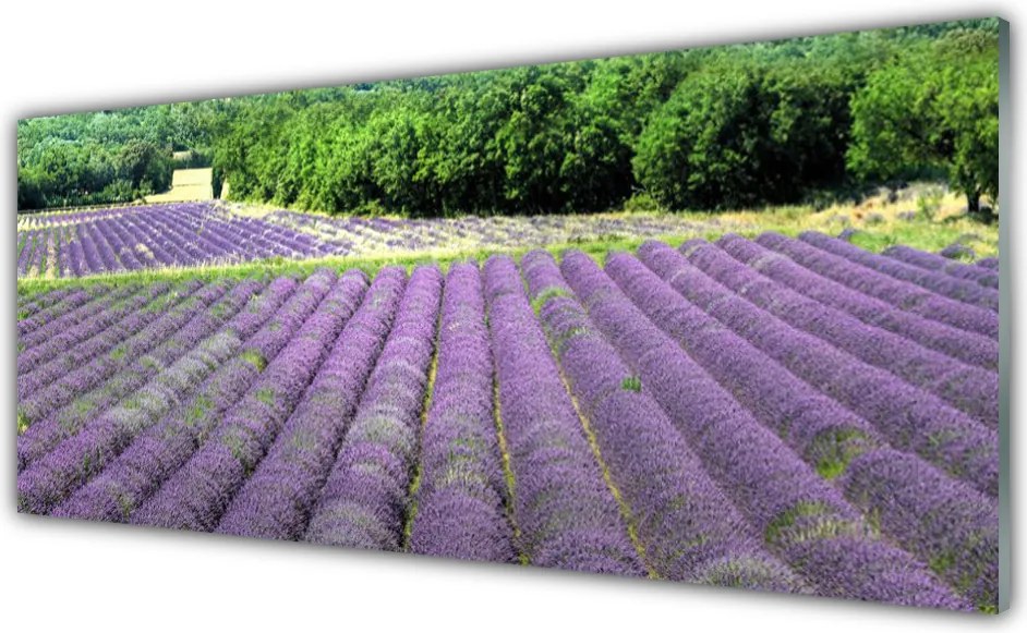 Szkło nad Blatem Kolorowa Łąka na Płótnie