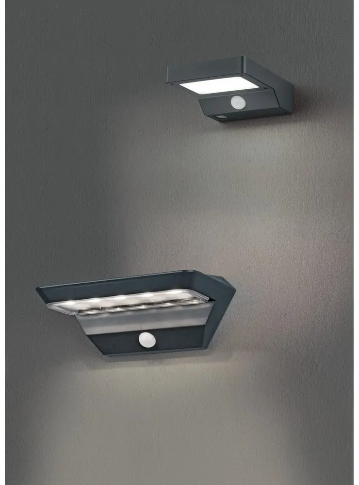 Lampa zewnętrzna LED z czujnikiem ruchu (wysokość 9 cm) Mendoza – Trio