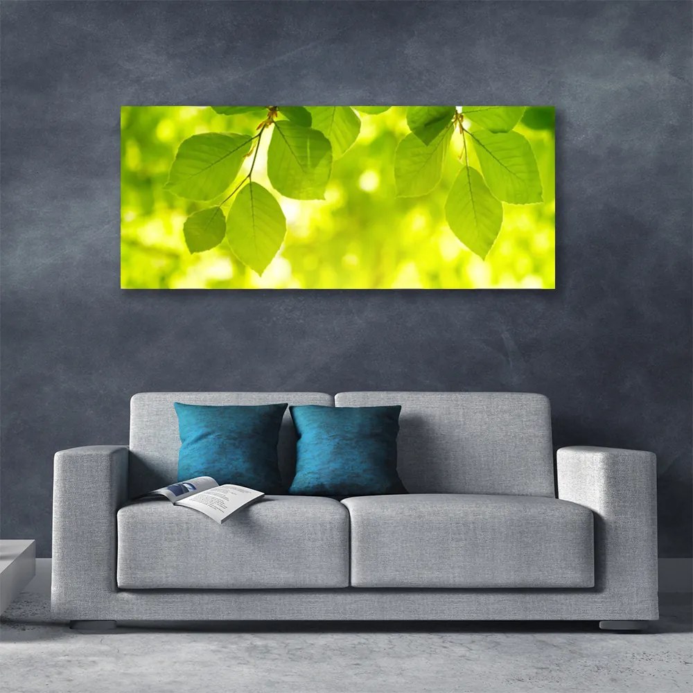Obraz na płótnie Zielone Liście w Stylu Modern