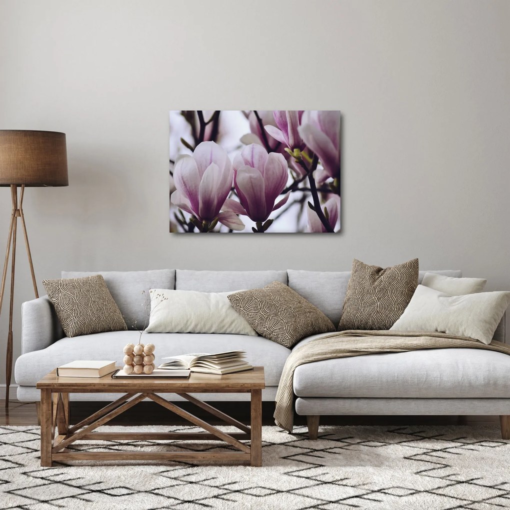 Obraz - Magnolia (70x50 cm)