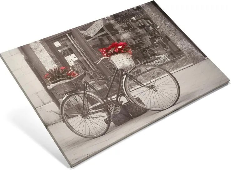 Obraz poinsecja, 40 x 60 cm