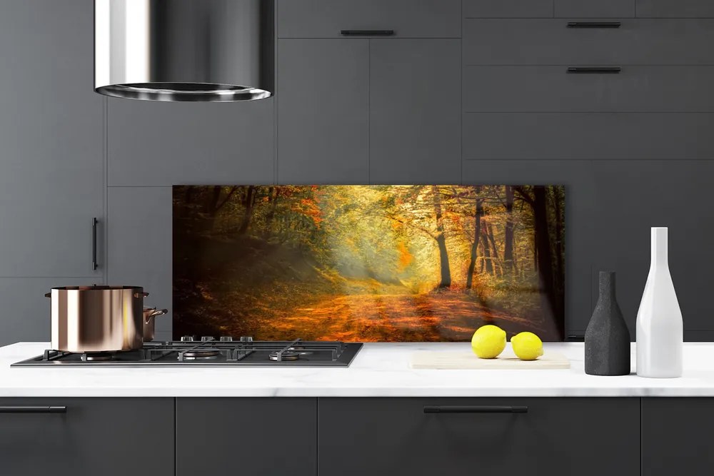 Panel Szklany Leśna Ścieżka W Słońcu