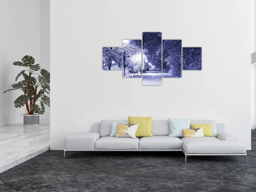 Obraz - Magiczna zimowa noc (125x70 cm)