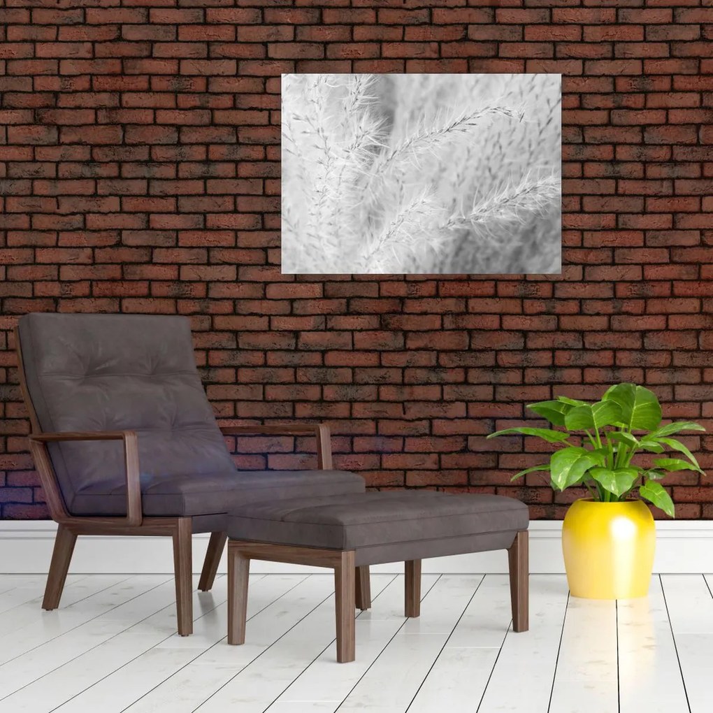 Obraz - Trawa pampasowa N⁰1 (70x50 cm)