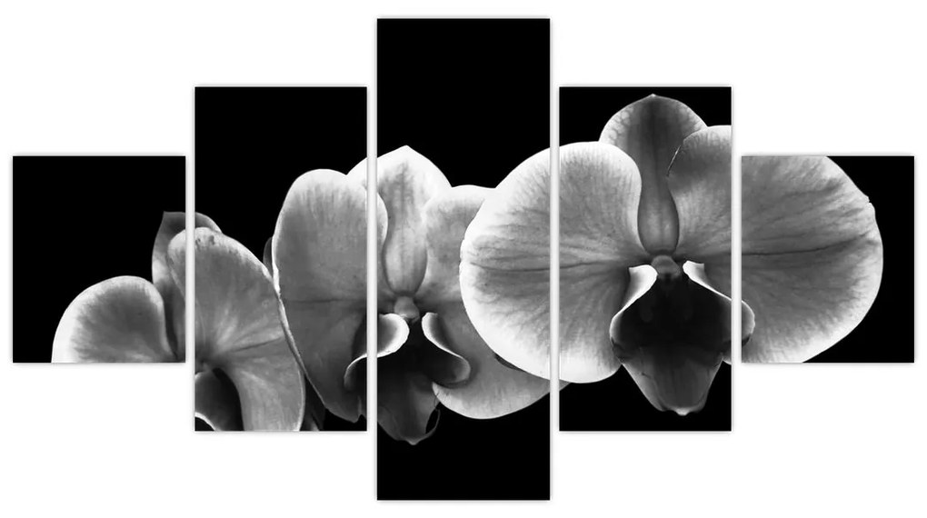 Obraz kwiatu orchidei (125x70 cm)