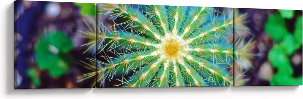 Obraz kaktusa (170x50 cm)