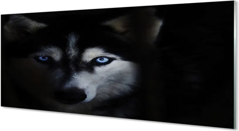 Panel Szklany Spojrzenie Dzikiego Wilka