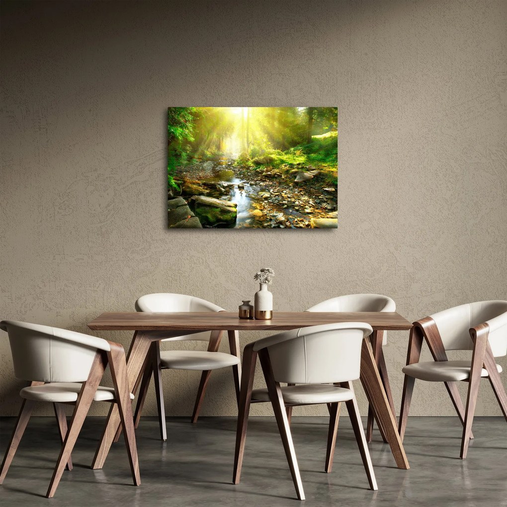 Obraz rzeki w zielonym lesie (70x50 cm)