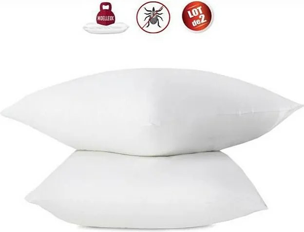 Zestaw 2 poduszek przeciwplesniowych 60 x 60 cm 100% bawełna z bioobrabianym - Abeil