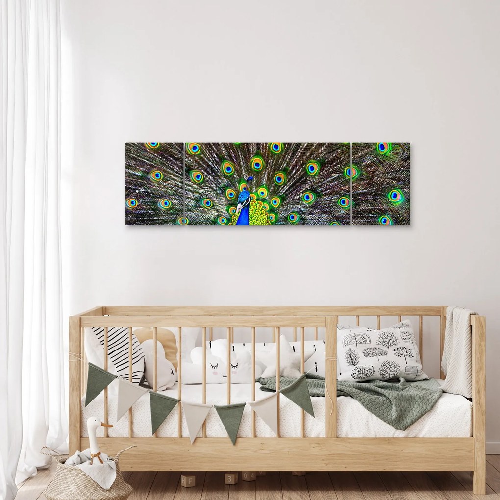 Obraz - Paw (170x50 cm)