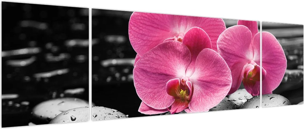 Obraz - Różowe orchidee (170x50 cm)