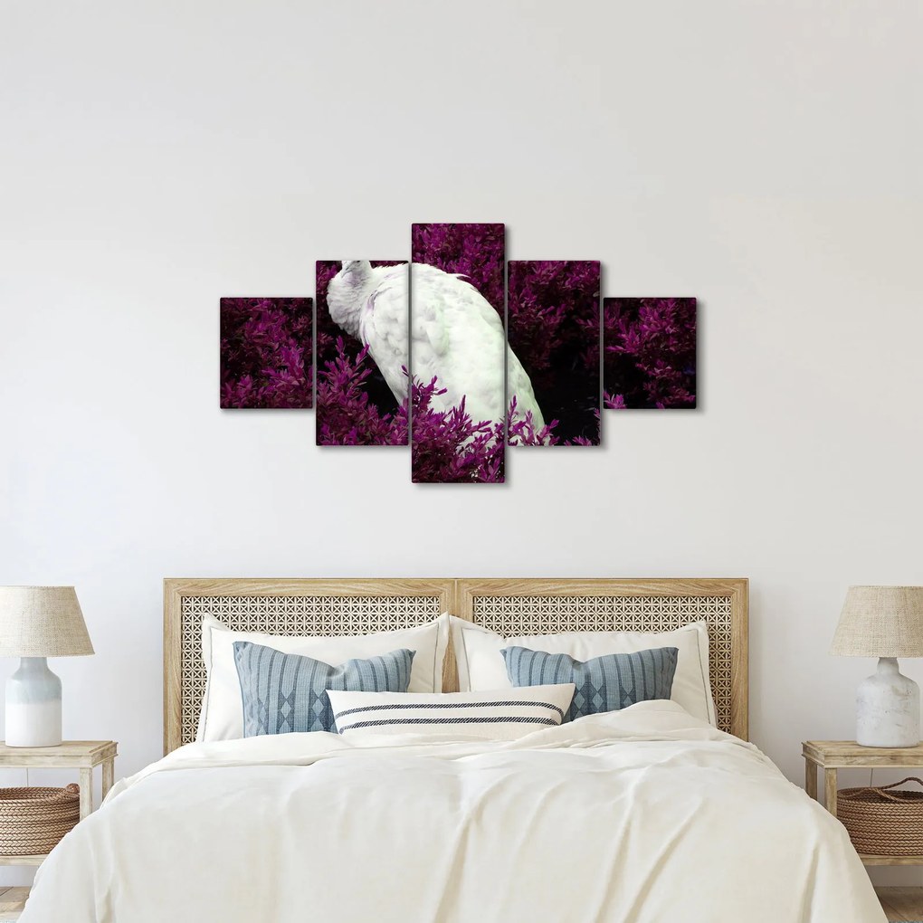Obraz - Biały paw (125x70 cm)
