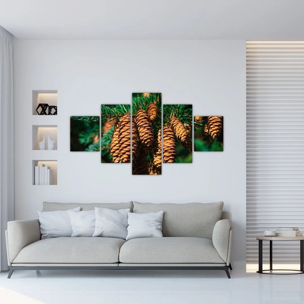 Obraz szyszek (125x70 cm)