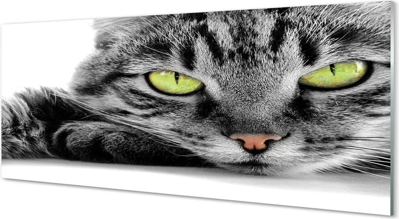 Panel nad Blat Kuchenny Portret Szaro-Czarnego Kota