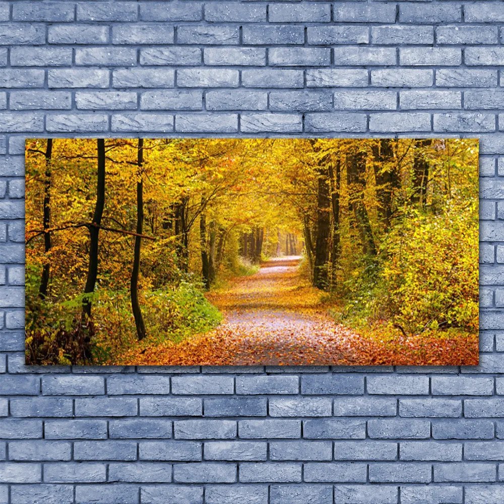 Obraz canvas Spacer przez Słoneczny Las