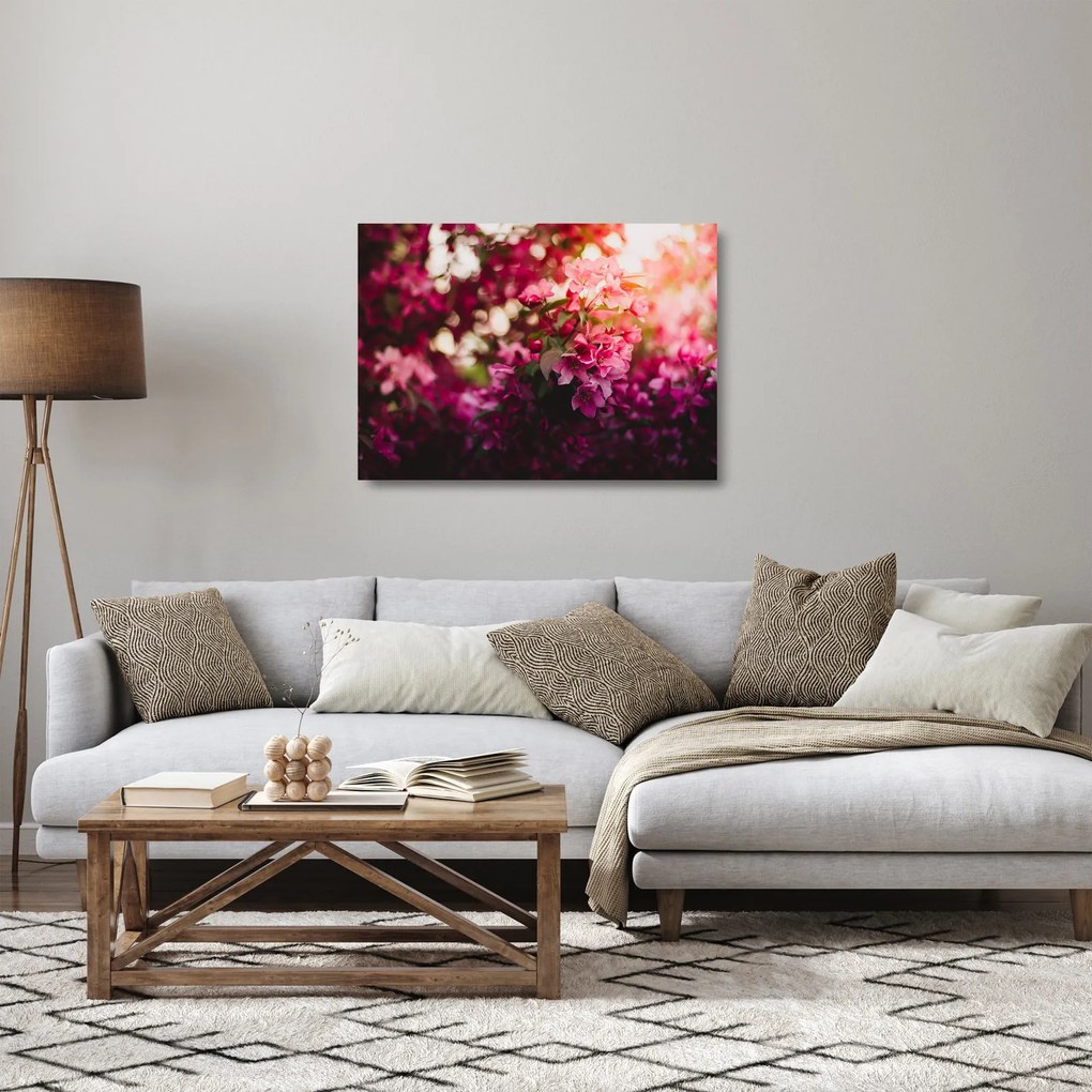 Obraz na szkle - kwiaty malwy (70x50 cm)