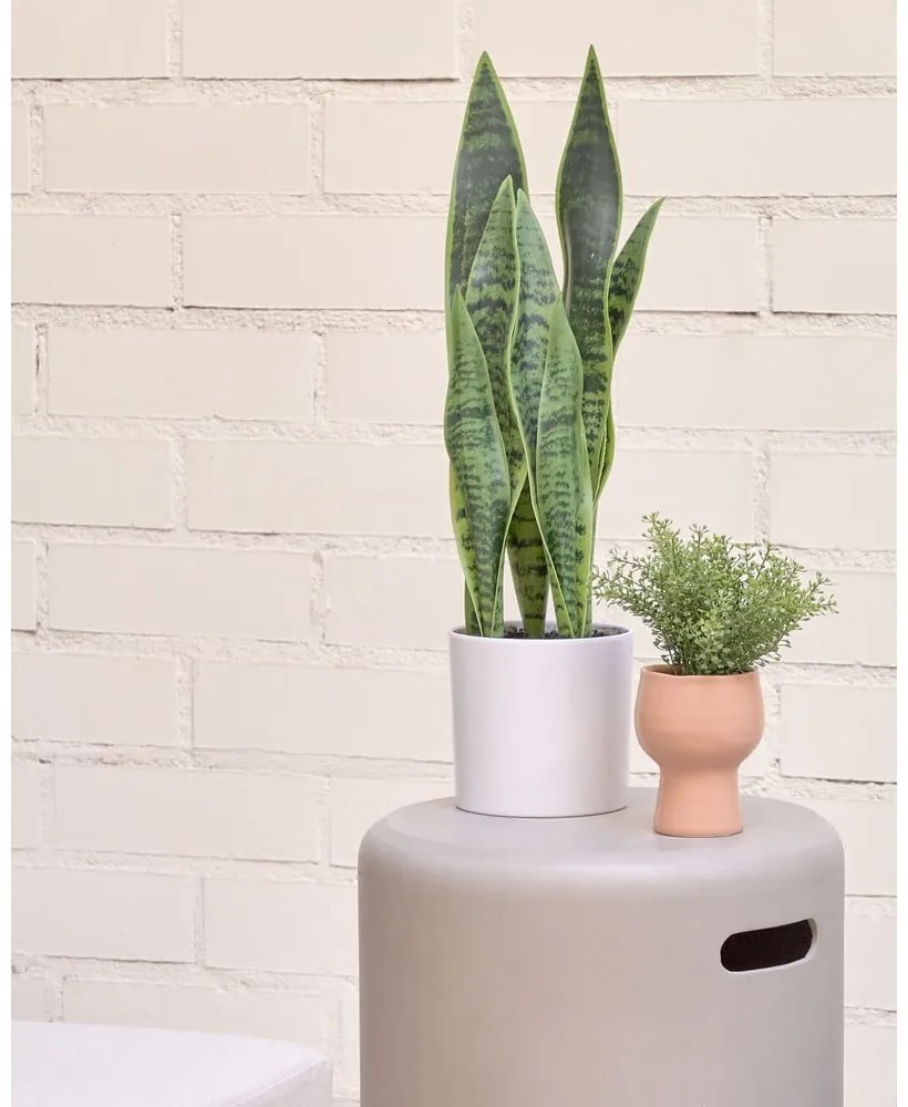 Sztuczna roślina (wysokość 55 cm) Sansevieria – Kave Home