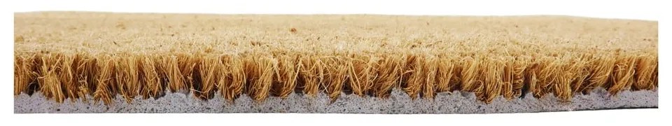 Wycieraczka z włókna kokosowego 40x60 cm Prosecco – Artsy Doormats