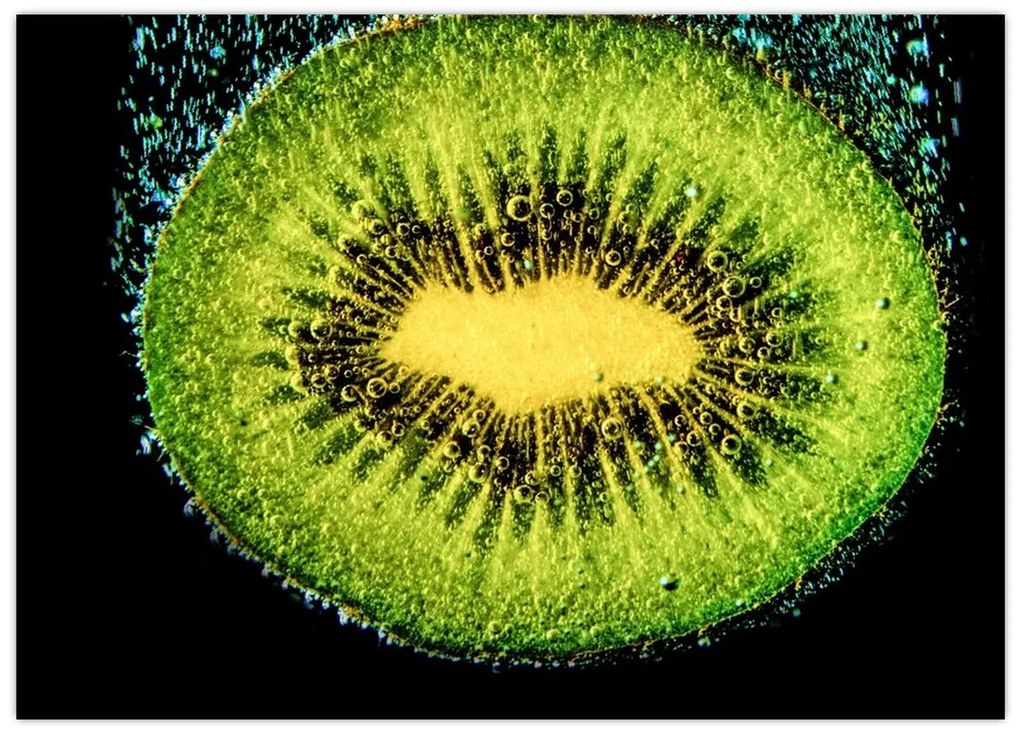Obraz na szkle - szczegół kiwi w wodzie (70x50 cm)