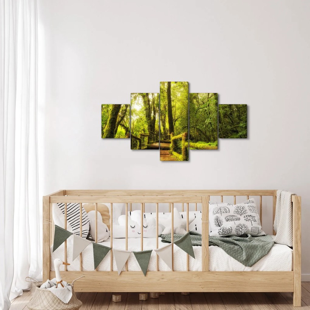 Obraz omszałej dżungli (125x70 cm)
