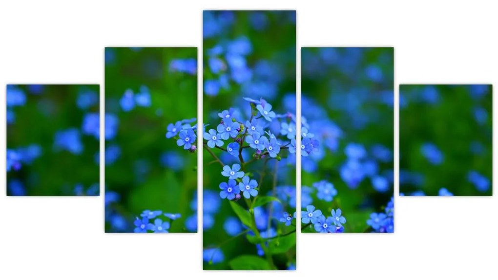 Obraz niebieskich kwiatów (125x70 cm)
