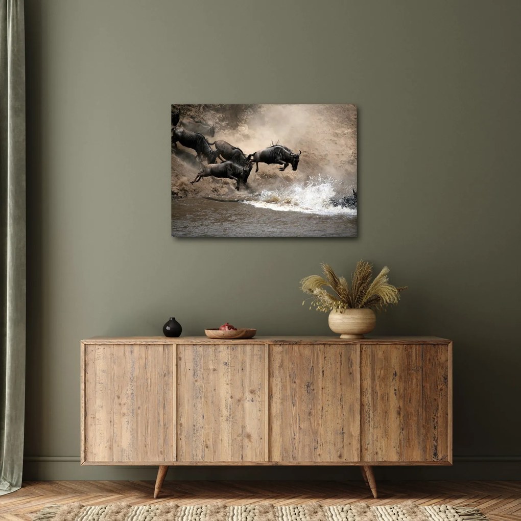 Obraz - Stado antylop gnu (70x50 cm)