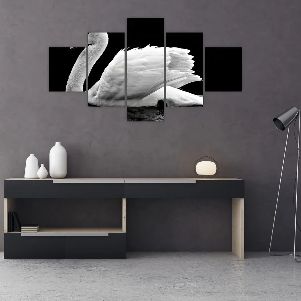 Obraz czarno - białego łabędzia (125x70 cm)