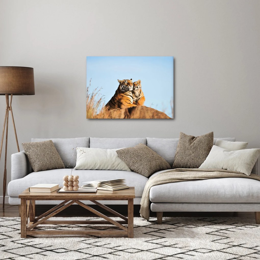 Obraz - Tygrysica i jej młode (70x50 cm)