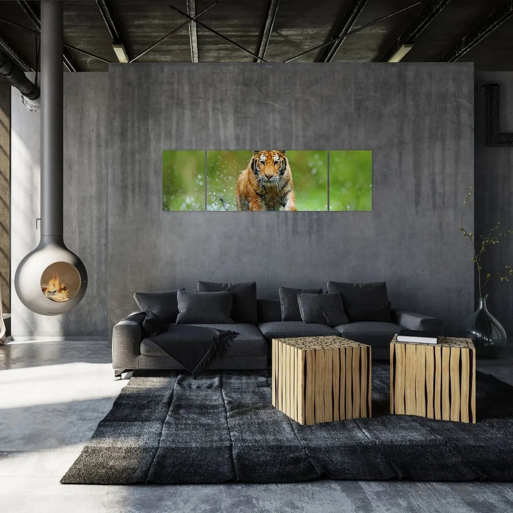 Obraz - Biegnący tygrys (170x50 cm)