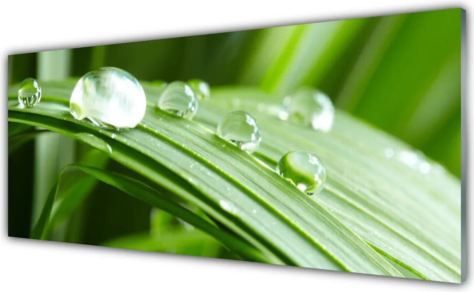 Szkło do Kuchni na Ścianę Kropla Rosy W Makrofotografii