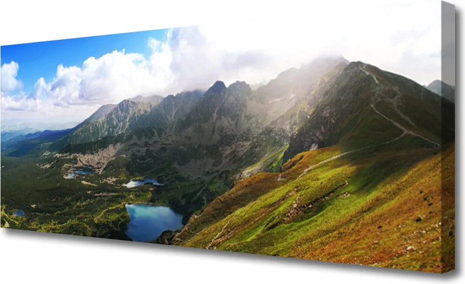 Zdjęcie na płótnie Pierwsze Tchnienie Wiosny: Przebiśnieg