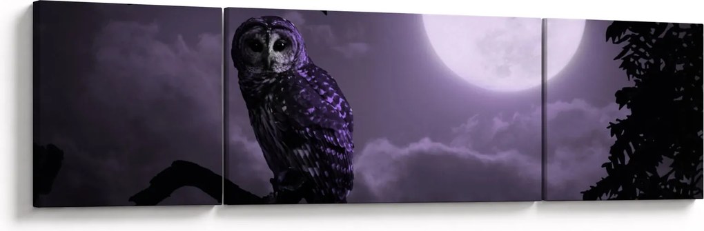 Obraz - Nocna sowa, fioletowy (170x50 cm)