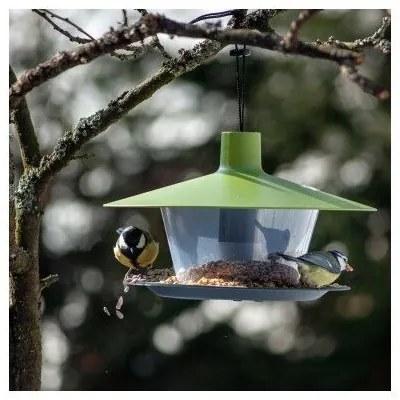 Karmik dla ptaszków Finch, zielony