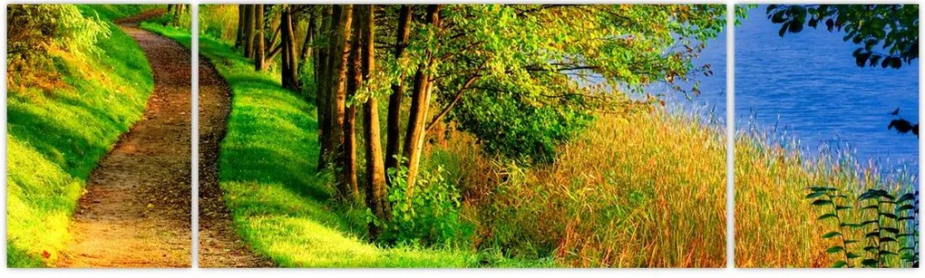 Obraz szlaku wzdłuż wody (170x50 cm)