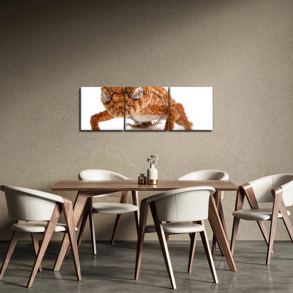 Obraz jaszczurki (z zegarem) (90x30 cm)