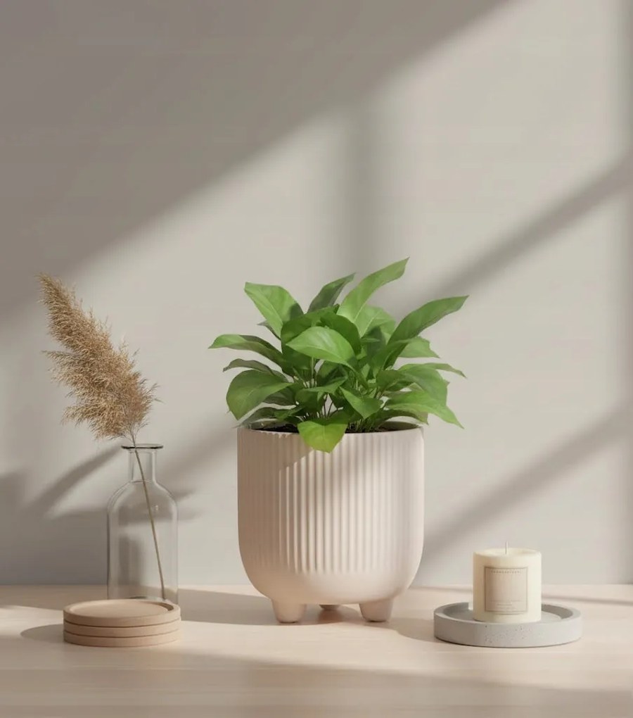 Doniczka Osłonka Beż 15 cm z Ceramiki na Trzech Nóżkach Designerska Donica