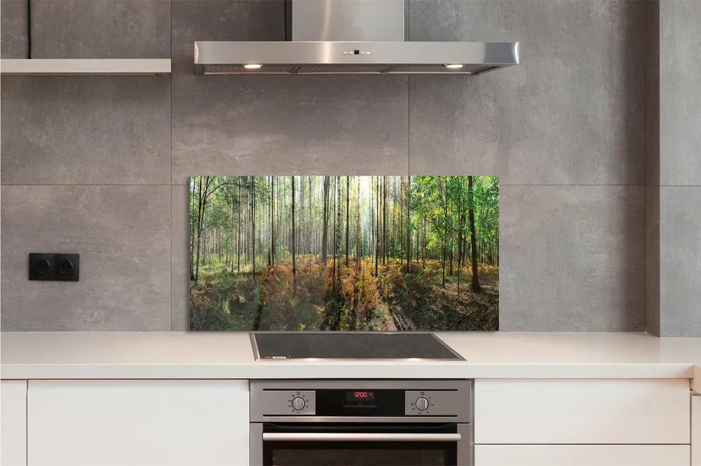 Panel szklany do Kuchni Klasyczny Las Brzozowy