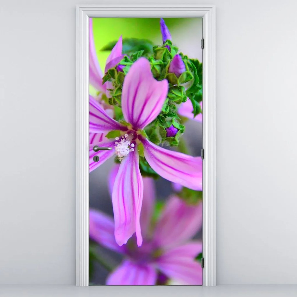 Fototapeta na drzwi - Szczegółowy obraz kwiatu (95x205cm)