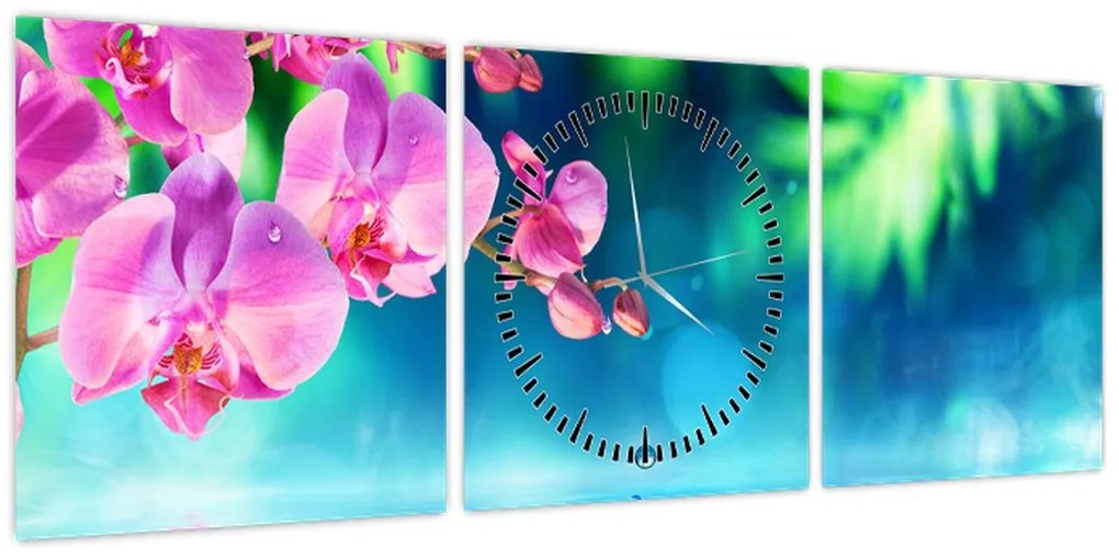 Obraz - Orchidea (z zegarem) (90x30 cm)