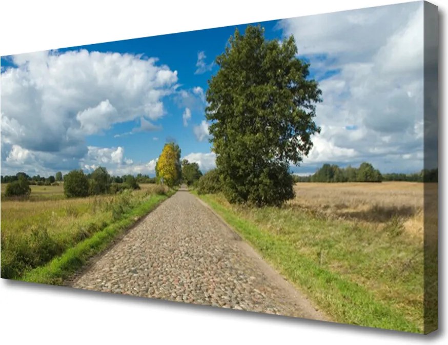 Obraz na płótnie Wiejska Droga z Kostki