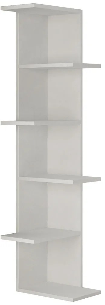 Biblioteczka Saso White