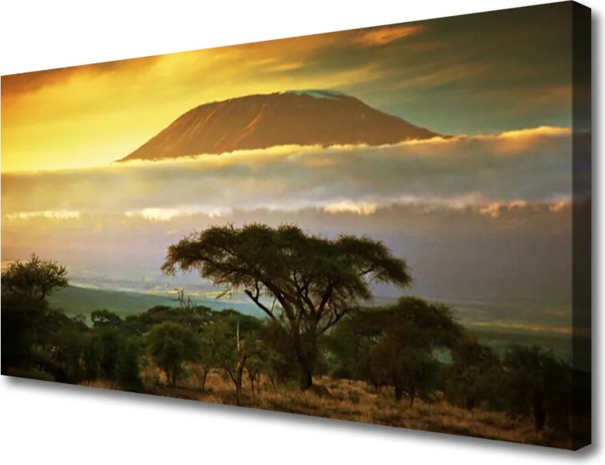 Obraz na płótnie Drzewo na Górskim Szczycie