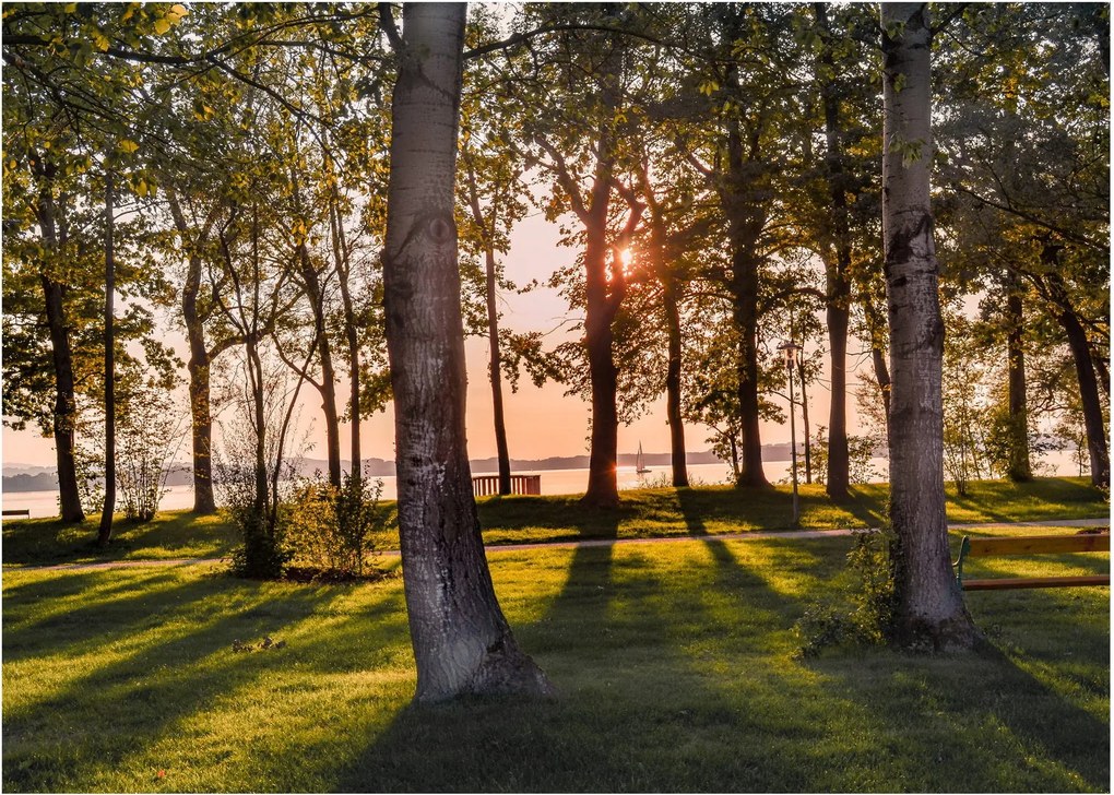 Obraz na szkle - drzewa nad jeziorem (70x50 cm)