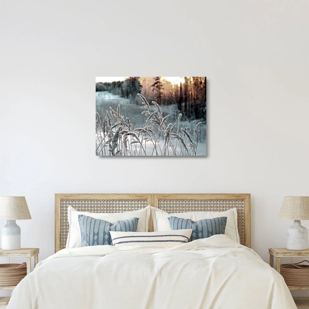 Obraz na szkle - Frozen Meadow (70x50 cm)