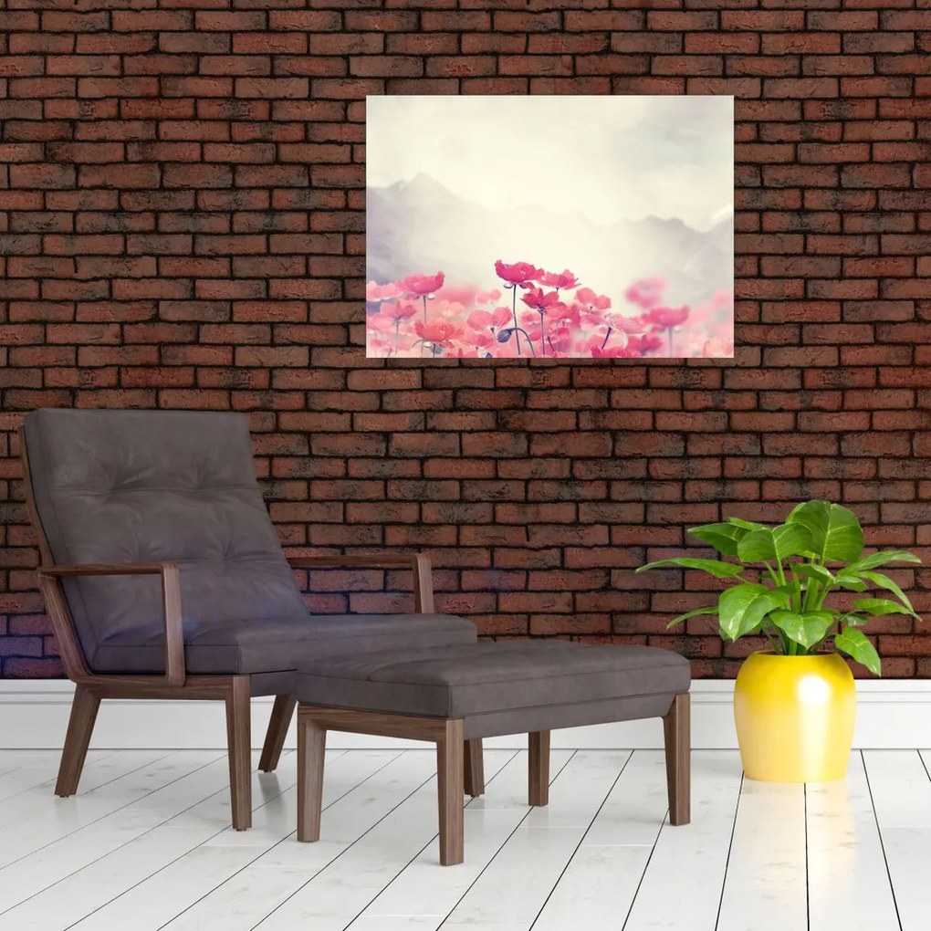Obraz - Maki (70x50 cm)