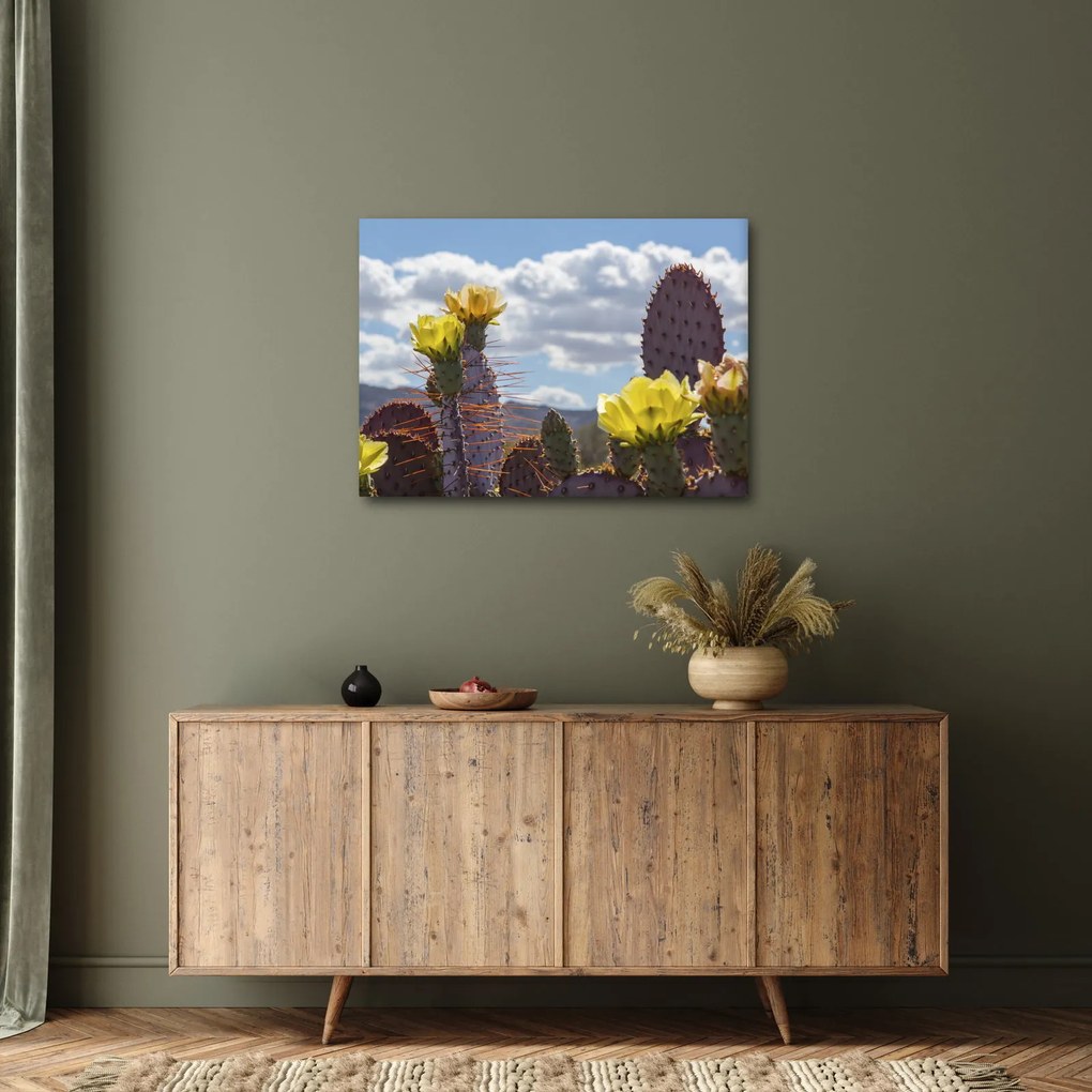 Obraz opuncji (70x50 cm)