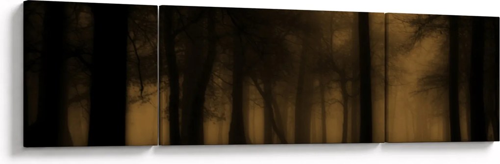 Obraz - Ciemny las (170x50 cm)