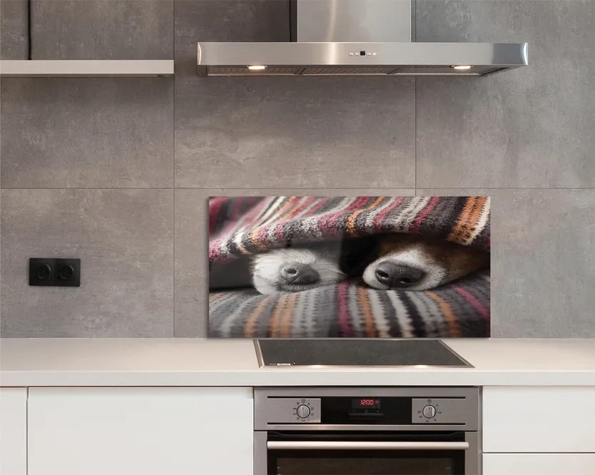 Panel Kuchenny Szklany Słodki Sen Zmęczonych Psów