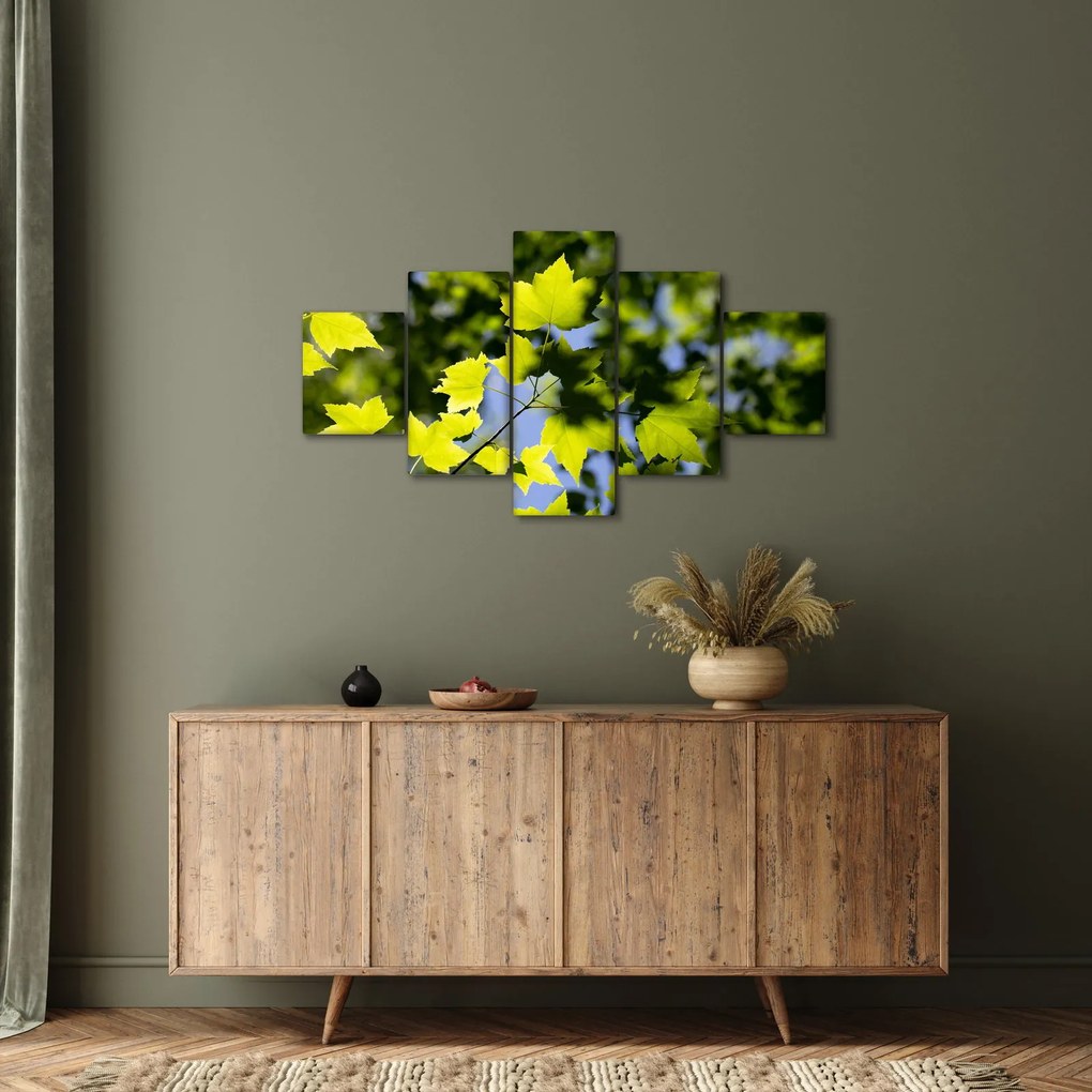 Obraz - liście klonu (125x70 cm)