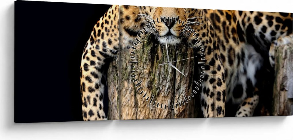 Obraz - Gepard (z zegarem) (90x30 cm)